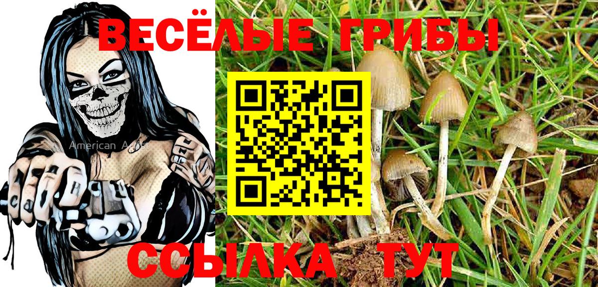 Усть-Джегута  Галлюциногенные грибы Psilocybe  Вход с VPN 