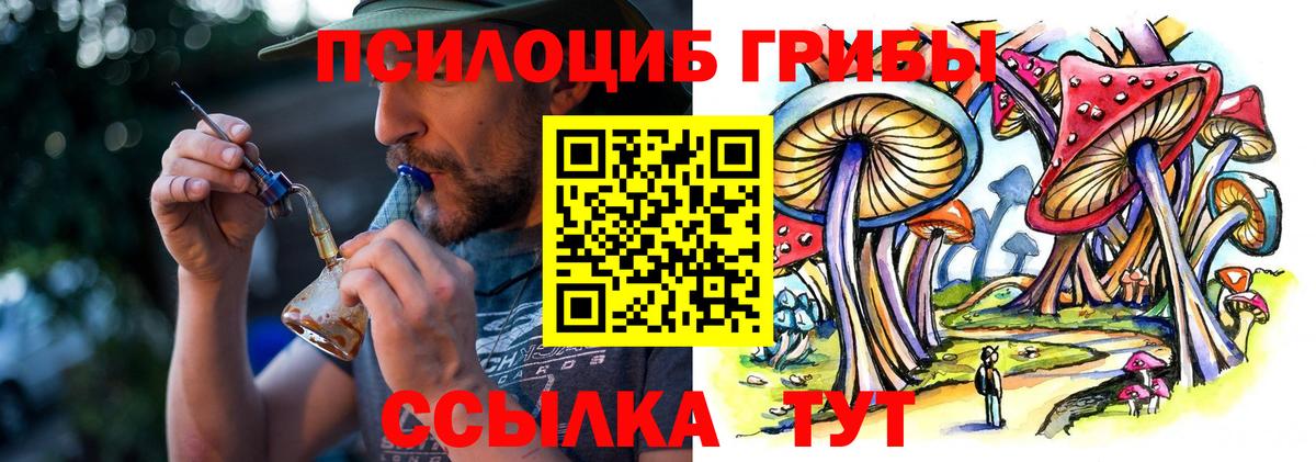 Галлюциногенные грибы мухоморы Усть-Джегута
